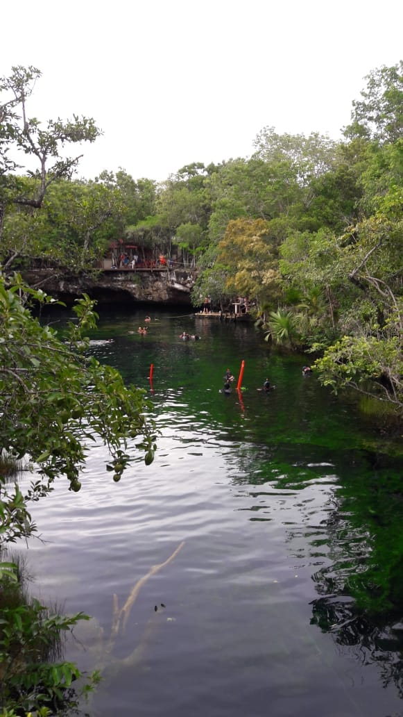 Group of friends taking a dip in an open-air cenote